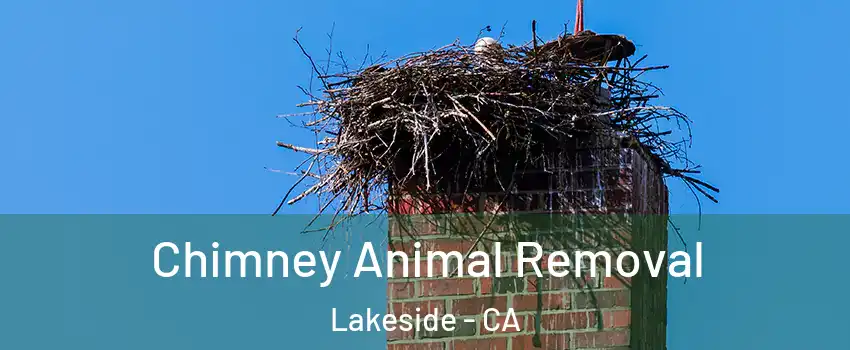 Chimney Animal Removal Lakeside - CA