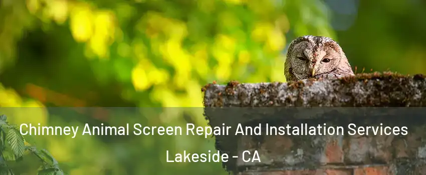  Chimney Animal Screen Repair And Installation Services Lakeside - CA