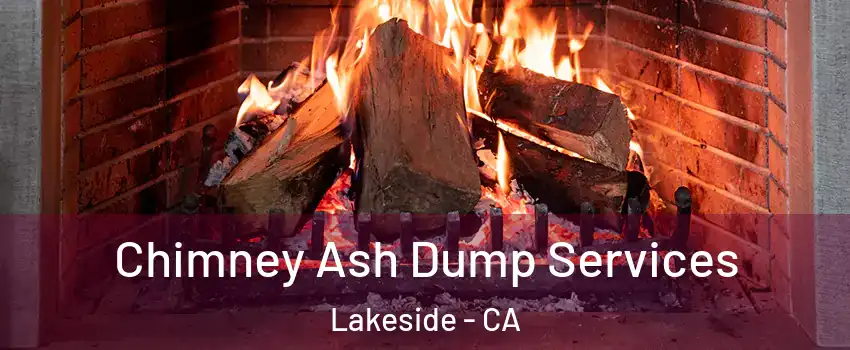  Chimney Ash Dump Services Lakeside - CA