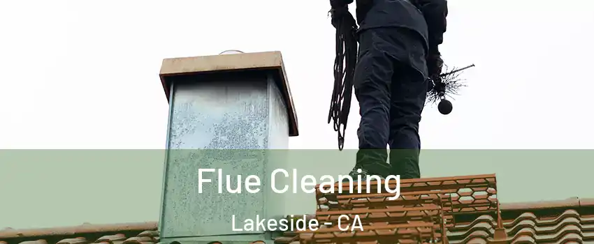  Flue Cleaning Lakeside - CA