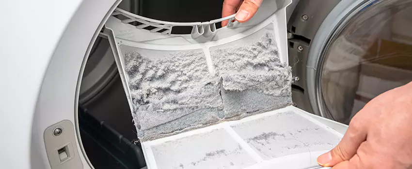 Best Dryer Lint Removal Company in Lakeside, California
