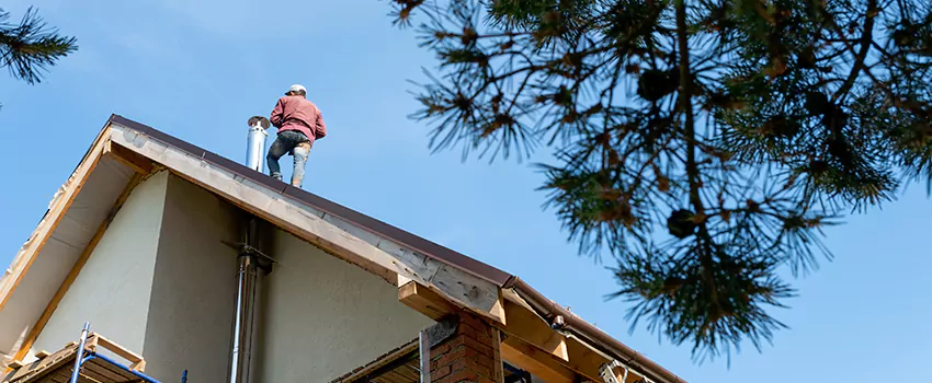 Birds Removal Contractors from Chimney in Lakeside, CA