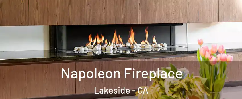  Napoleon Fireplace Lakeside - CA